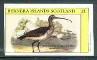 Bernera 1982 Birds #40 (Curlew) imperf souvenir sheet (£1 value) unmounted mint