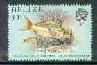 Belize 1984-88 Snapper fish $1 unmounted mint from def set, SG 778*