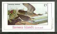 Bernera 1982 Bartramian Sandpiper imperf souvenir sheet (£1 value) unmounted mint