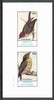 Grunay 1982 Manakin Birds imperf set of 2 values (40p & 60p) unmounted mint