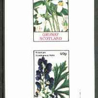 Grunay 1982 Flowers #04 (Helleborus & Aconitum) imperf set of 2 (40p & 60p) unmounted mint