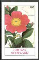 Grunay 1982 Flowers #04 (Rosea Gallica) imperf deluxe sheet (£2 value) unmounted mint