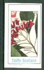 Staffa 1982 Flowers #24 (Caryophyllus) imperf souvenir sheet (£1 value) unmounted mint