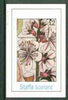 Staffa 1982 Flowers #24 (Amygdalus) imperf deluxe sheet (£2 value) unmounted mint
