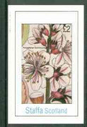 Staffa 1982 Flowers #24 (Amygdalus) imperf deluxe sheet (£2 value) unmounted mint