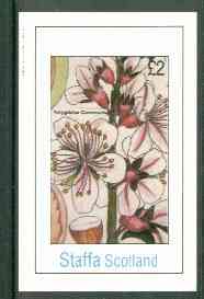 Staffa 1982 Flowers #24 (Amygdalus) imperf deluxe sheet (£2 value) unmounted mint