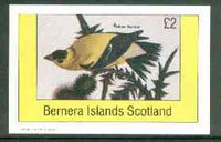 Bernera 1982 Yellow Warbler imperf deluxe sheet (£2 value) unmounted mint