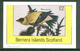 Bernera 1982 Yellow Warbler imperf deluxe sheet (£2 value) unmounted mint
