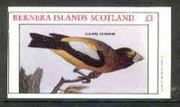 Bernera 1982 Evening Grosbeak imperf souvenir sheet (£1 value) unmounted mint