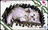 Telephone Card - Japan 50 units phone card showing Kitten with black & white bow titled 'Kitty 2' (card dated 15.4.1992)