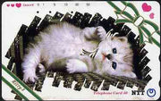 Telephone Card - Japan 50 units phone card showing Kitten with black & white bow titled 'Kitty 2' (card dated 15.4.1992)
