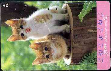 Telephone Card - Japan 50 units phone card showing two Kittens sitting on Tree Trunk (card dated 1.6.1990)