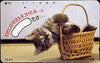 Telephone Card - Japan 50 units phone card showing Kitten falling out of Basket (card dated 1.4.1990)