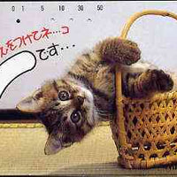 Telephone Card - Japan 50 units phone card showing Kitten falling out of Basket (card dated 1.4.1990)