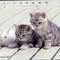 Telephone Card - Japan 105 units phone card showing two Kittens with Rabbit (card dated 1.2.1996)