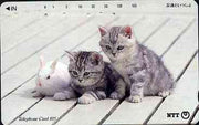 Telephone Card - Japan 105 units phone card showing two Kittens with Rabbit (card dated 1.2.1996)