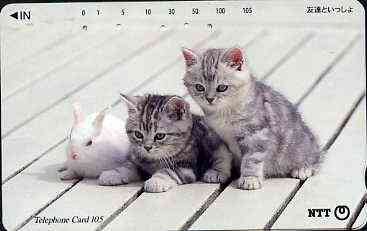 Telephone Card - Japan 105 units phone card showing two Kittens with Rabbit (card dated 1.2.1996)