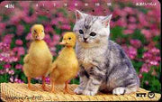 Telephone Card - Japan 105 units phone card showing Kitten with two chicks (card 111-055)