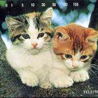 Telephone Card - Japan 105 units phone card showing two Kittens up a tree (card 111-070)