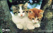Telephone Card - Japan 105 units phone card showing two Kittens up a tree (card 111-070)