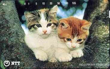 Telephone Card - Japan 105 units phone card showing two Kittens up a tree (card 111-070)