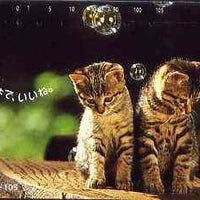 Telephone Card - Japan 105 units phone card showing two Kittens with bubbles (card 111-036)