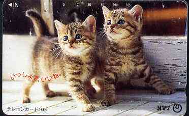 Telephone Card - Japan 105 units phone card showing two Kittens looking up (card 111-028)