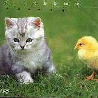 Telephone Card - Japan 105 units phone card showing Kitten with chick (card 111-062)