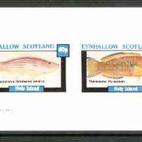 Eynhallow 1982 Fish #05 (Octotaenia jenkins & Thalassoma purpureum) imperf,set of 2 values (40p & 60p) unmounted mint