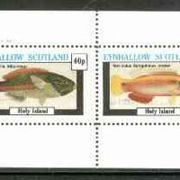 Eynhallow 1982 Fish #06 (Stethojulis albovittata & Sanguineus jordan) perf,set of 2 values (40p & 60p) unmounted mint