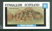 Eynhallow 1982 Fish #07 (Cirrhites marmoratus) imperf souvenir sheet (£1 value) unmounted mint