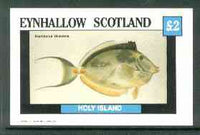 Eynhallow 1982 Fish #07 (Acanthurus unicornis) imperf deluxe sheet (£2 value) unmounted mint