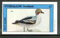 Eynhallow 1982 Birds #20 (Teal) imperf souvenir sheet (£1 value) unmounted mint