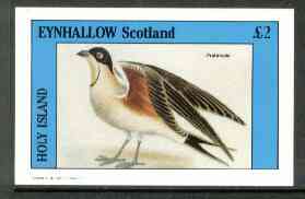 Eynhallow 1982 Birds #20 (Pratincole) imperf deluxe sheet (£2 value) unmounted mint