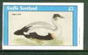 Staffa 1982 Birds #60 (Eider Duck) imperf souvenir sheet (£1 value) unmounted mint