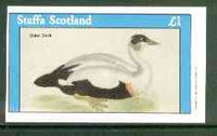 Staffa 1982 Birds #60 (Eider Duck) imperf souvenir sheet (£1 value) unmounted mint