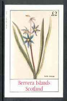 Bernera 1982 Flowers #15 (Scilla amena) imperf,deluxe sheet (£2 value) unmounted mint