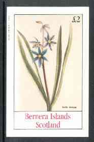 Bernera 1982 Flowers #15 (Scilla amena) imperf,deluxe sheet (£2 value) unmounted mint