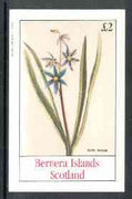 Bernera 1982 Flowers #15 (Scilla amena) imperf,deluxe sheet (£2 value) unmounted mint
