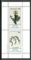 Grunay 1982 Flowers #05 (Pimelea & Erica) perf set of 2 (40p & 60p) unmounted mint