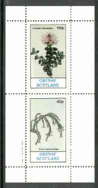 Grunay 1982 Flowers #05 (Pimelea & Erica) perf set of 2 (40p & 60p) unmounted mint