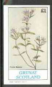 Grunay 1982 Flowers #05 (Cunila mariana) imperf souvenir sheet (£1 value) unmounted mint