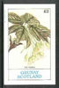 Grunay 1982 Flowers #05 (Acer hybridum) imperf deluxe sheet (£2 value) unmounted mint