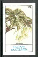 Grunay 1982 Flowers #05 (Acer hybridum) imperf deluxe sheet (£2 value) unmounted mint