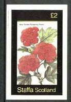 Staffa 1982 Flowers #25 (Flowering Thorn) imperf deluxe sheet (£2 value) unmounted mint