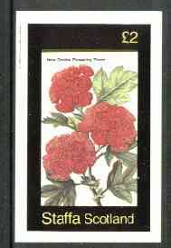 Staffa 1982 Flowers #25 (Flowering Thorn) imperf deluxe sheet (£2 value) unmounted mint