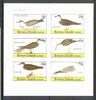 Bernera 1982 Birds #30 (Shearwater, Petrel, Skua etc) imperf,set of 6 values (15p & 75p) unmounted mint