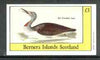 Bernera 1982 Birds #30 (Red Throated Diver) imperf souvenir sheet (£1 value) unmounted mint