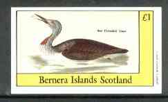 Bernera 1982 Birds #30 (Red Throated Diver) imperf souvenir sheet (£1 value) unmounted mint
