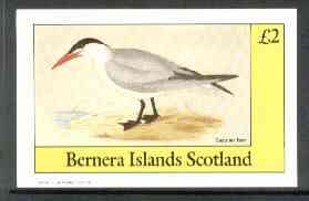 Bernera 1982 Birds #30 (Caspian Tern) imperf deluxe sheet (£2 value) unmounted mint